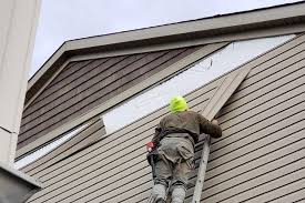 Affordable Siding Repair and Maintenance Services in Trion, GA